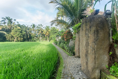 Ubud Luwih Villa, Ubud, 인도네시아 공화국