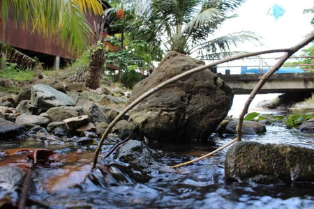 Ella's Place Salang Tioman, Tioman Island, Malaysia
