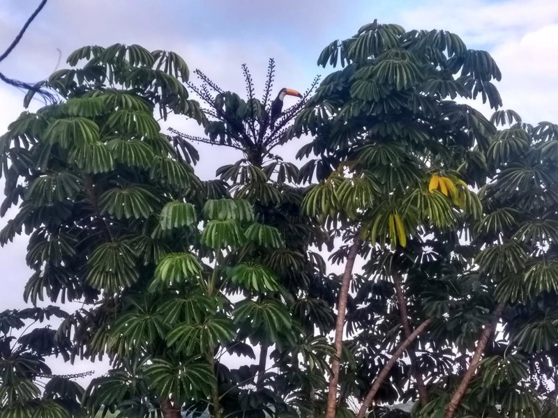 Pousada Buena Vista, Piui, Brazil