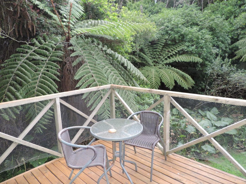 Waiheke Island Punga Lodge, Remuera, New Zealand