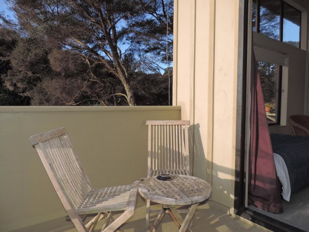 Waiheke Island Punga Lodge, Remuera, New Zealand