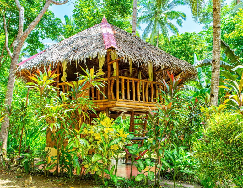 Water to Forest Ecolodge, Loboc, Philippines