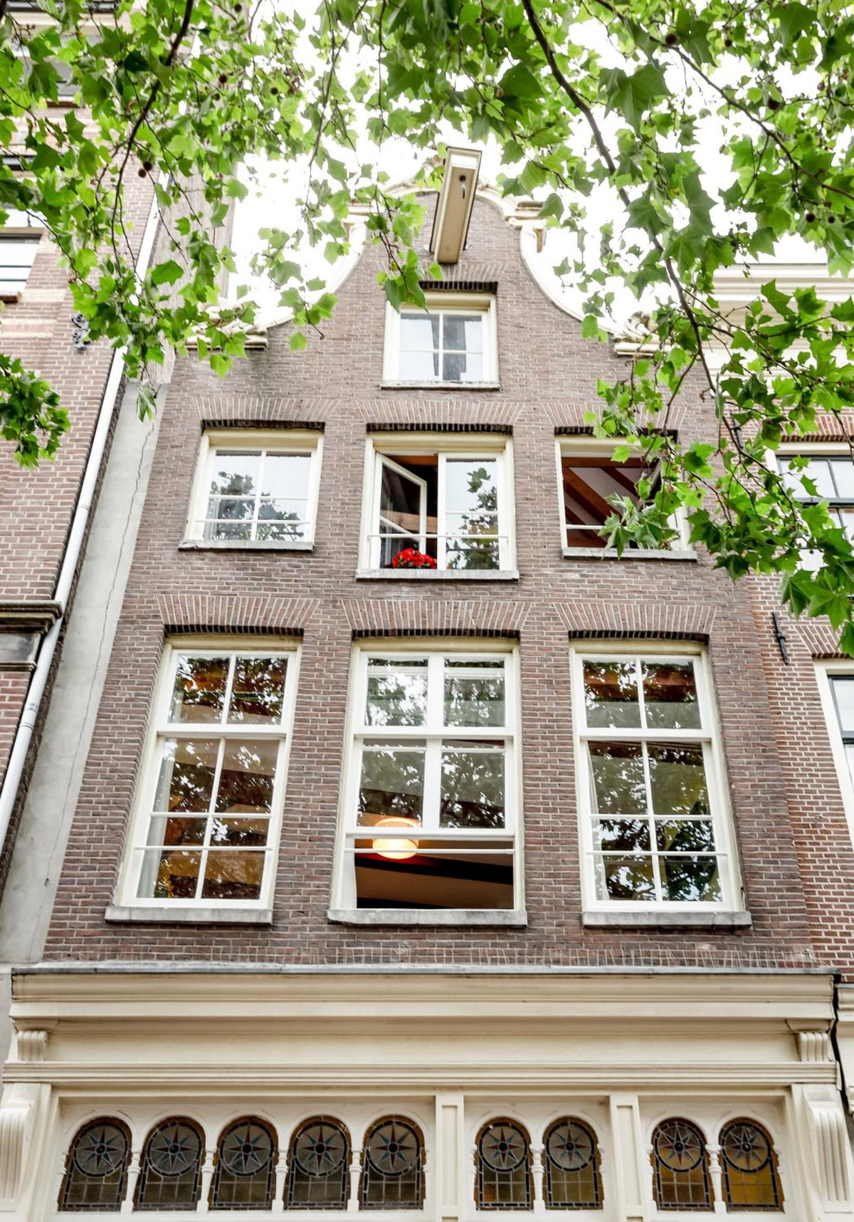 Sunflower Amsterdam, The Netherlands