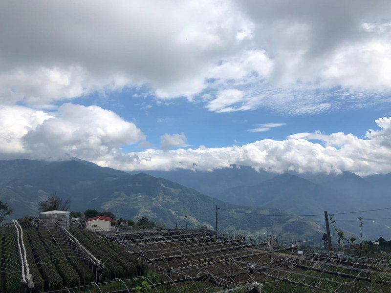 MountainTraveler, Puli, 台湾
