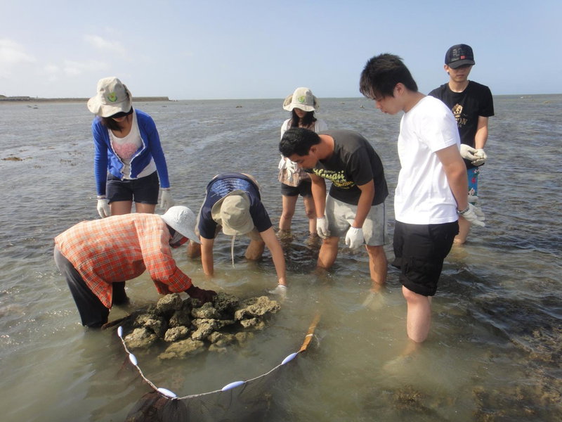 Long Beach Private Lodging, Magong, 台湾