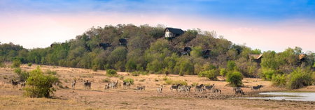 Tshukudu Bush Lodge, Ledig, South Africa