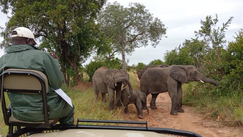 Elephant Plains Game Lodge, Sabi Sand Game Reserve, South Africa