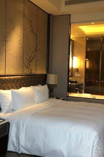 Nanjing Wanda Realm Hotel, Xiaolingwei, 中国