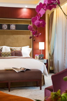 Sofitel Xi'an On Renmin Square, Xi'an, 中国