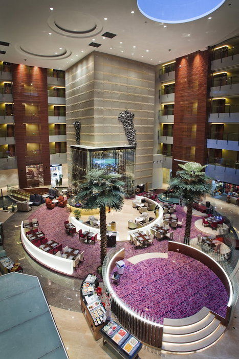 Grand Skylight International Hotel Guanlan, Shenzhen, 中国