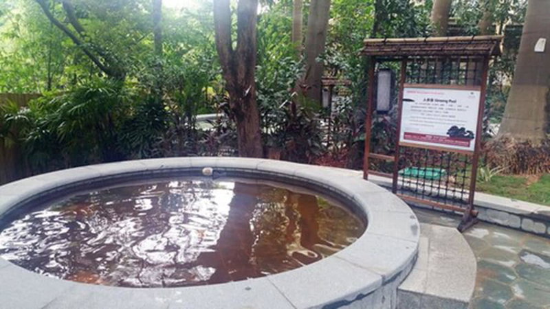 Richwood Garden Hotel, Humen, 中国