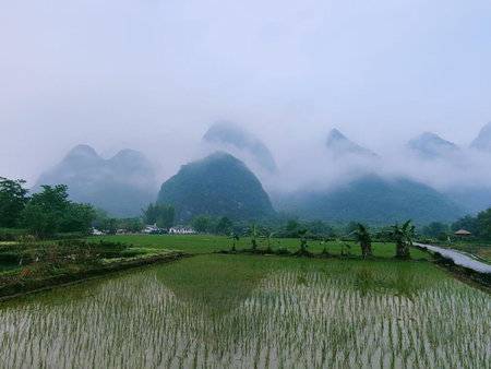 Yangshuo Eden's Social Guesthouse - cozy garden coffee & & night beers & near to yulongriver&Bespoke tour service, Yangshuo, 中国