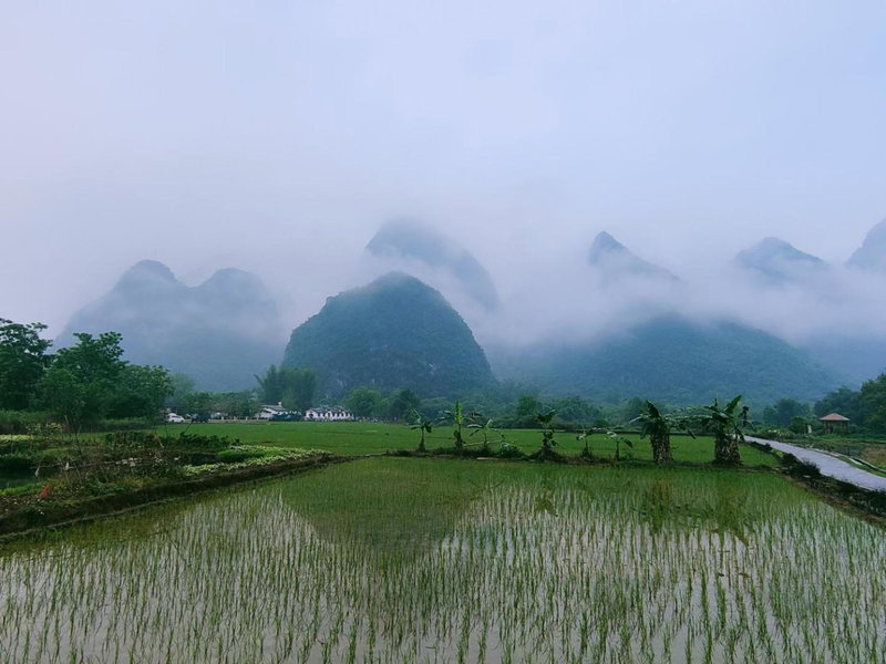 Yangshuo Eden's Social Guesthouse - cozy garden coffee & & night beers & near to yulongriver&Bespoke tour service, Yangshuo, 中国