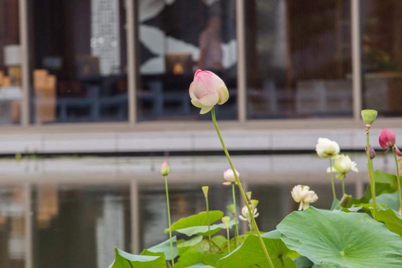 West Lake State Guest House, Hangzhou, 中国