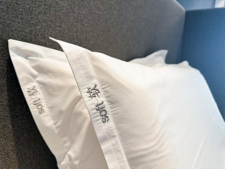 Holiday Inn Express Tianjin Airport East by IHG, Xianshuigu, 中国