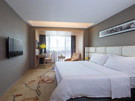 Vienna Hotel - Guangzhou South Railway Station Branch, Shiqiao, 中国