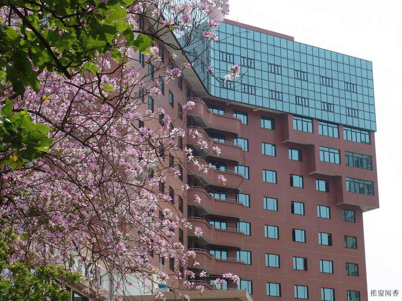 City Hotel Xiamen, Xiamen, 中国