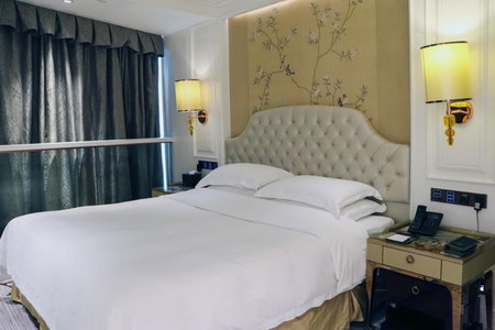 Estandon Hotel Guangzhou, Dasha, 中国
