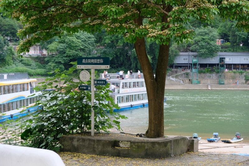 Ruoli Yangshuo, Yangshuo, 中国