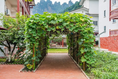 Pipaxi Hotel, Wulingyuan, 中国