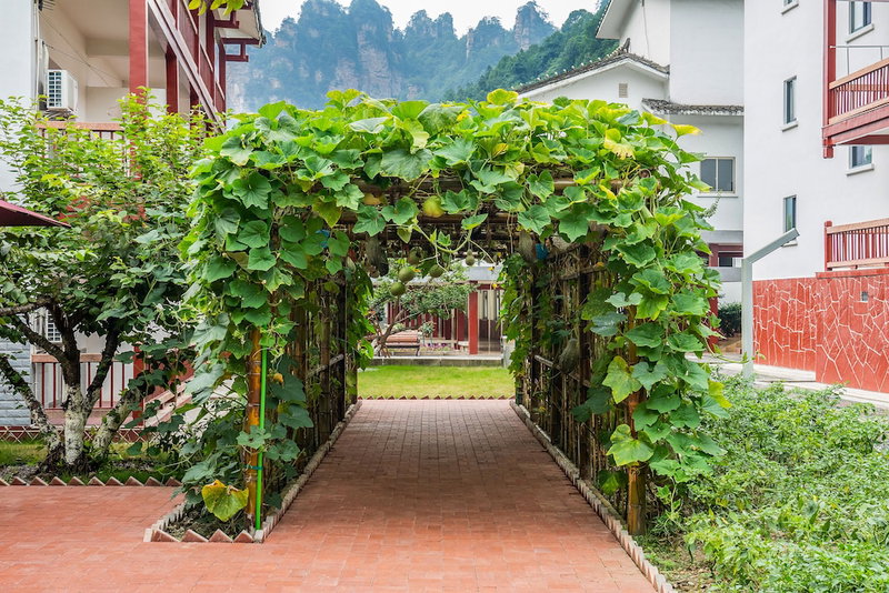Pipaxi Hotel, Wulingyuan, 中国
