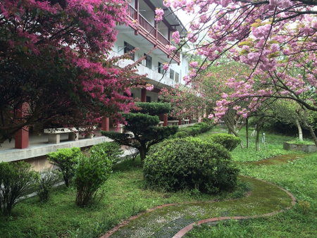 Pipaxi Hotel, Wulingyuan, 中国