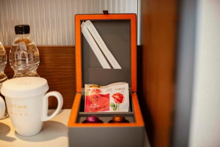 UrCove by HYATT Nanjing South Railway Station, Xiaolingwei, 中国