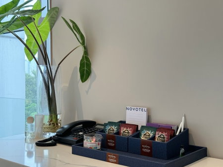 ibis Styles Changsha International Exhibition Center, Changsha, 中国