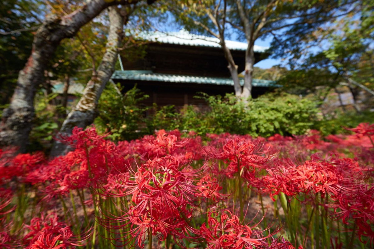 Hotel · KAMAKURA Hotel, Kamakura