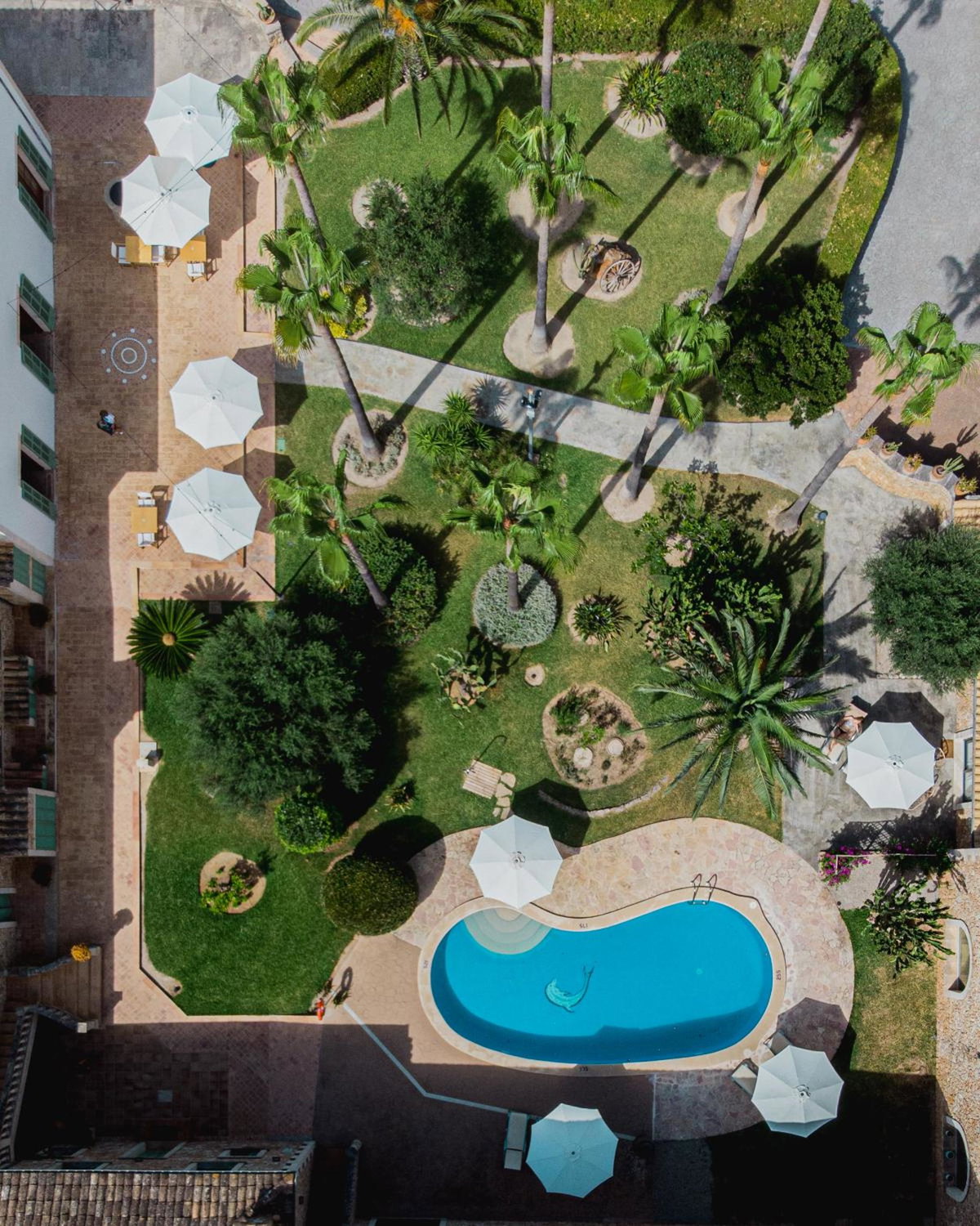 Hotel · Curolla Petit Hotel, Inca