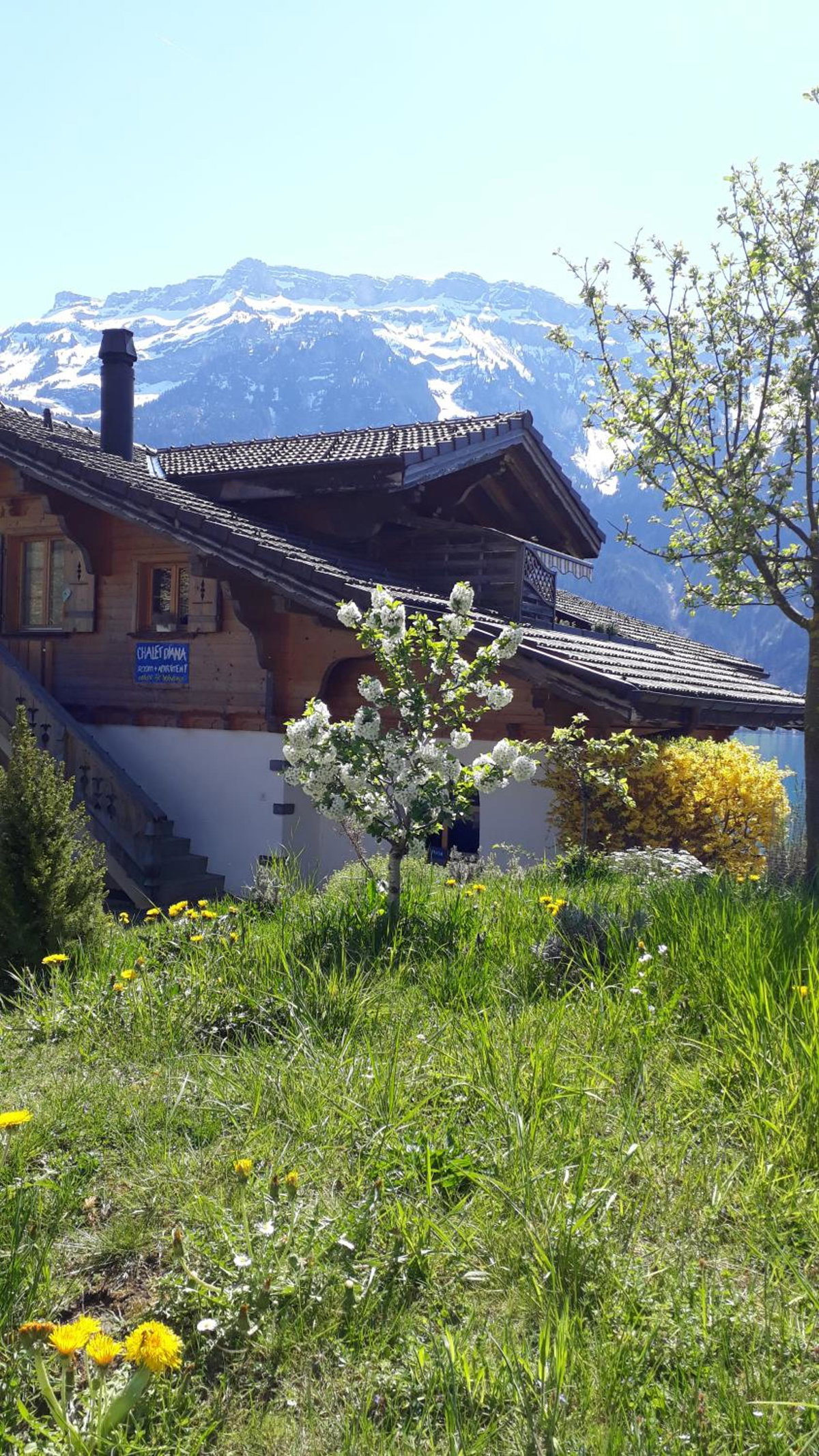 Chalet Diana Lakefront, Switzerland