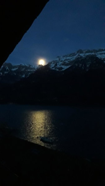 Chalet Diana Lakefront, Thun, Switzerland