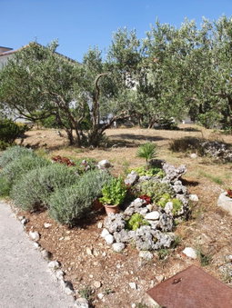 Apartments Ivana, Baška Voda, Croatia