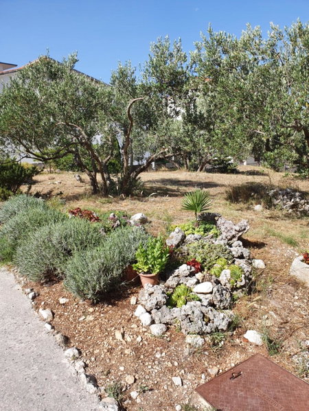 Apartments Ivana, Baška Voda, Croatia