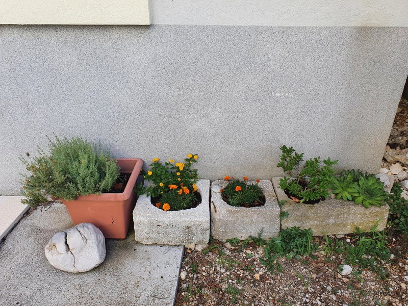 Apartments Ivana, Baška Voda, Croatia
