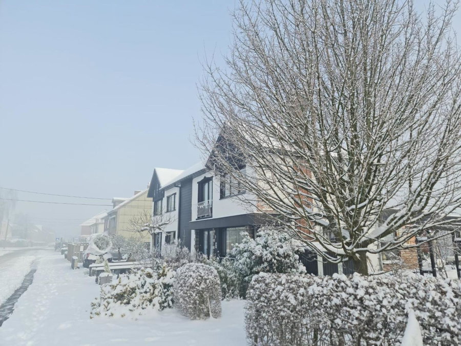 Lazy Olives, Tongeren, Belgium