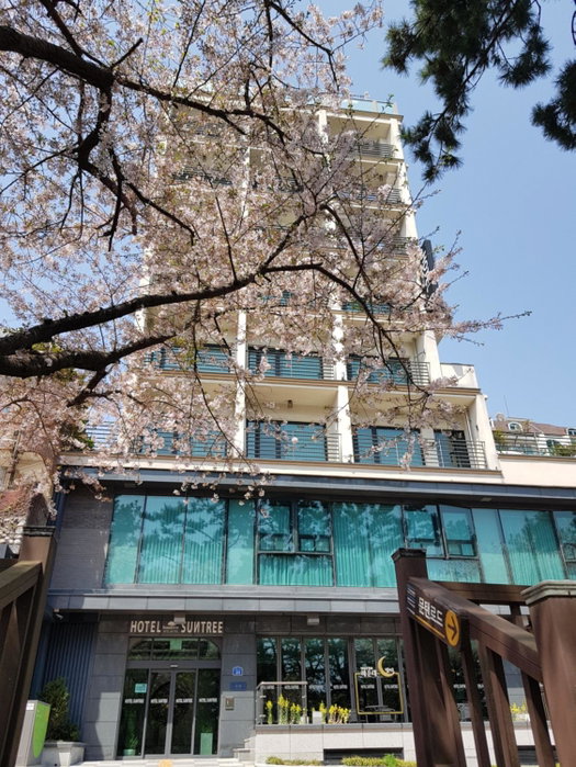 Suntree Hotel, Gijang, 대한민국