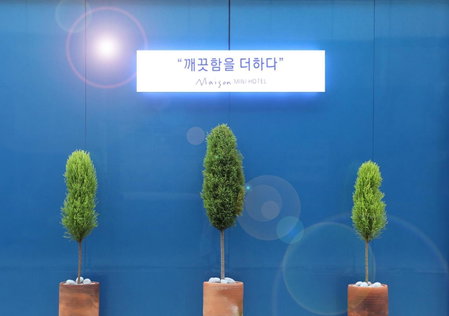 Maison Mini Hotel, Gyeongju, 대한민국