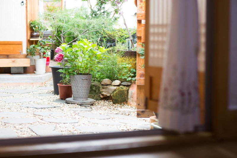 Starlight Rest Area, Jeonju, 대한민국