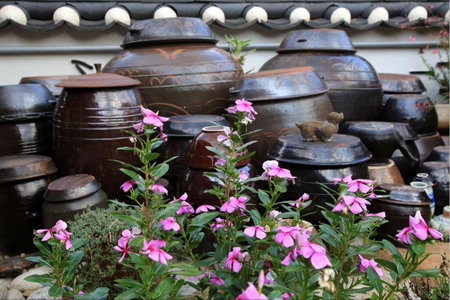 Hanok Madang, Jeonju, 대한민국