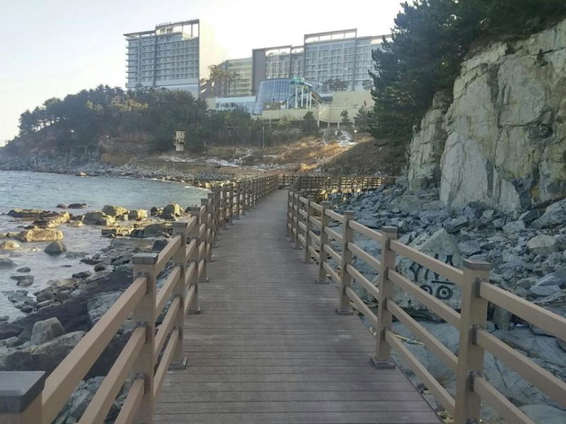 Blue Door Hostel Guesthouse, Sokcho, 대한민국