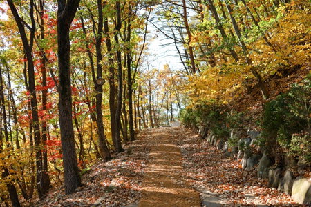 Kensington Resort Seorak Valley, Sokcho, 대한민국