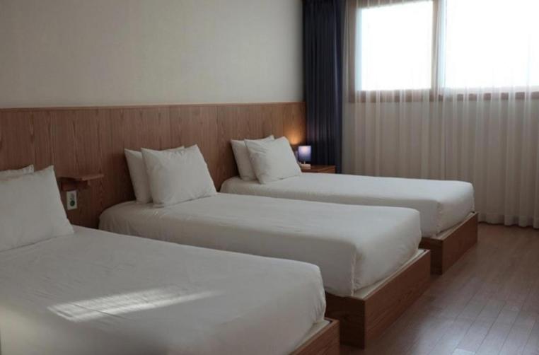 Soldongsan Stay, Seogwipo, 대한민국