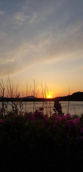 푸른제주 펜션, Seogwipo, 대한민국