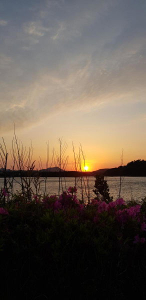 푸른제주 펜션, Seogwipo, 대한민국