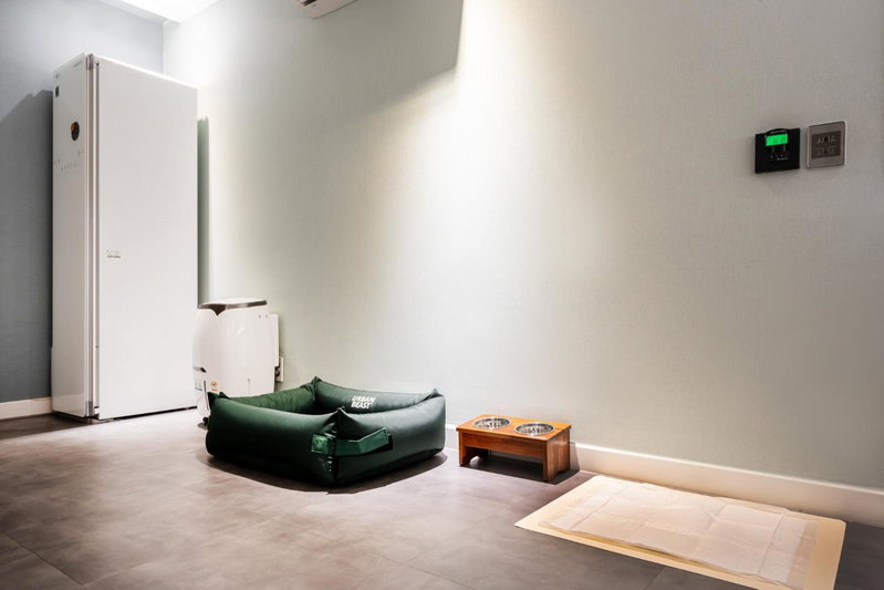 Hotel New Evergreen, Mokpo, 대한민국