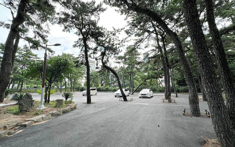 Commodore Hotel Pohang, Pohang, 대한민국