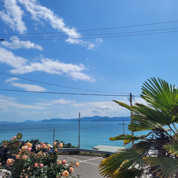 Soulmate Pension, Yeosu, 대한민국