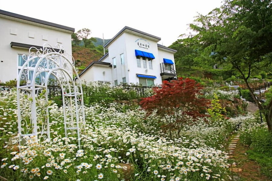 Emotion Pension, Kurye, 대한민국