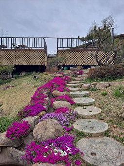 Emotion Pension, Kurye, 대한민국